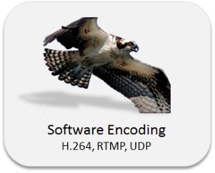 Software Encode Button
